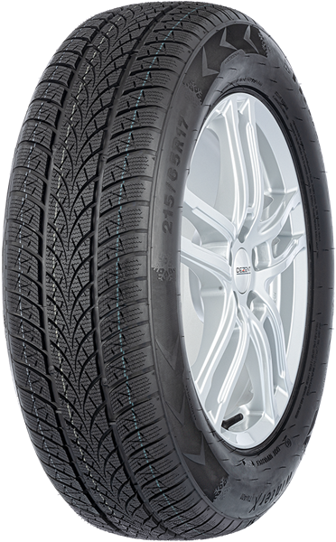 Triangle Winter X TW401 205/55 R16 94 V XL